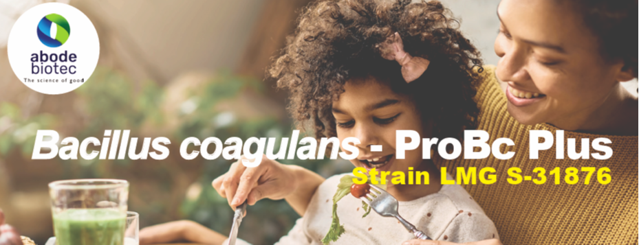 Bacillus coagulans – ProBC Plus Powder 2978