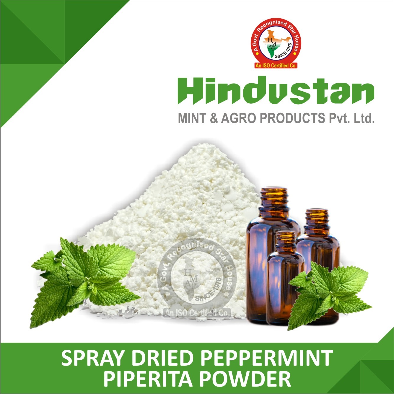Spray Dried Peppermint Piperita Powder 5571