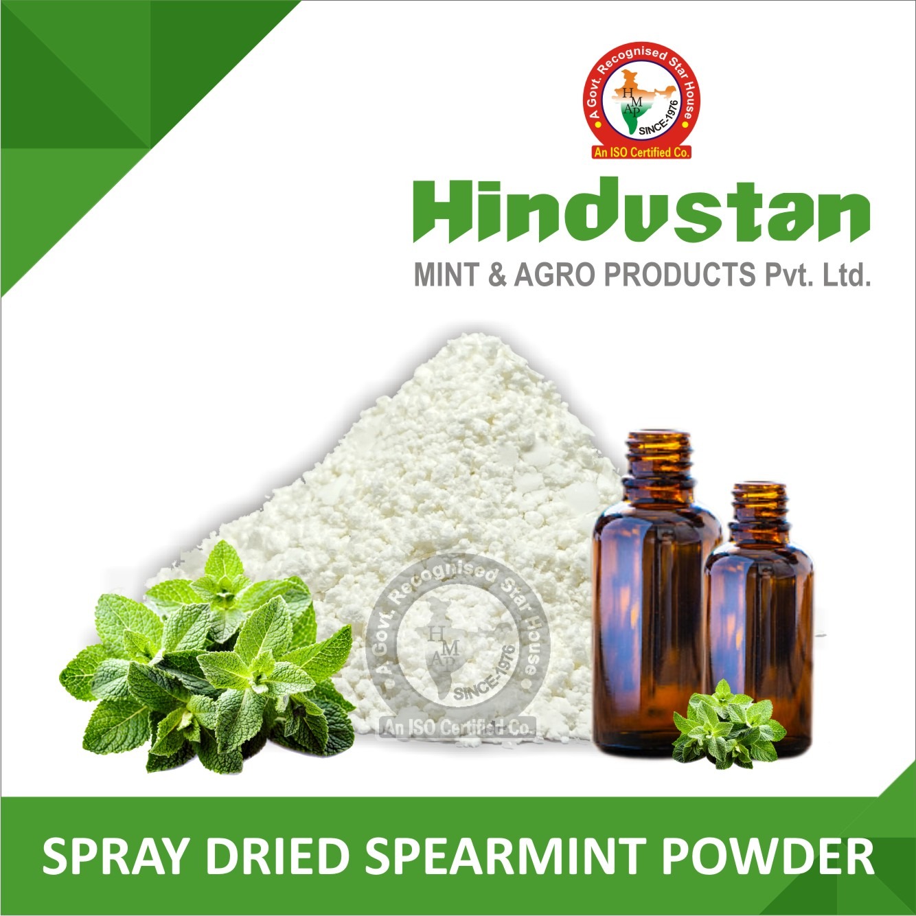Spray Dried Spearmint Powder 5572
