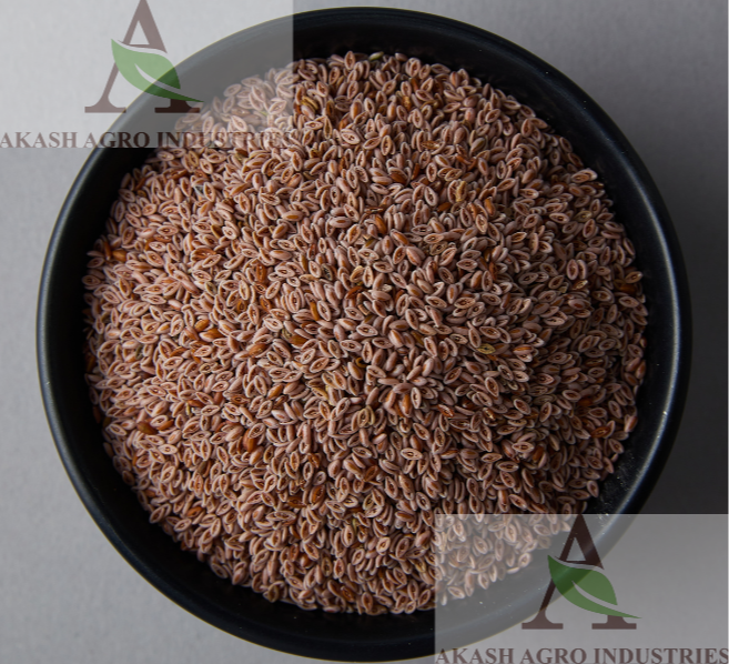 Psyllium seeds and psyllium seed powder (All grades) (organic / conventional) USA STOCKS 5581